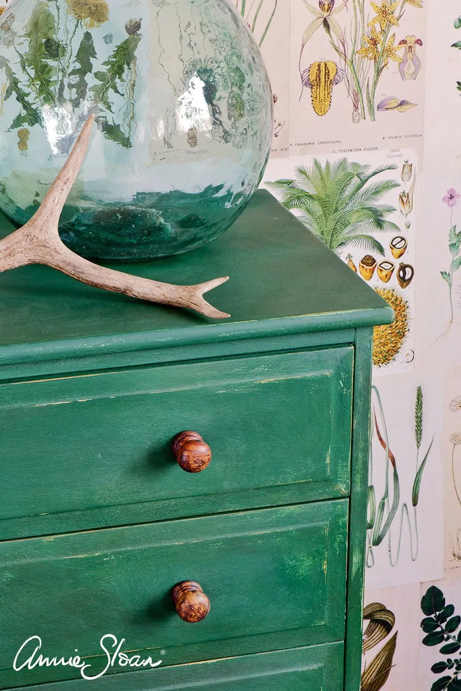 Annie Sloan CHALK PAINT™  - Amsterdam Green