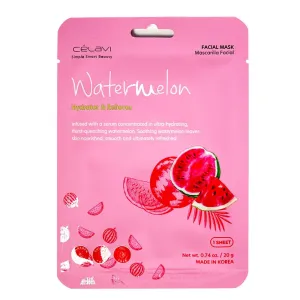 Essence Facial Sheet Mask Moisturizing Skin Care - Watermelon (24 units)